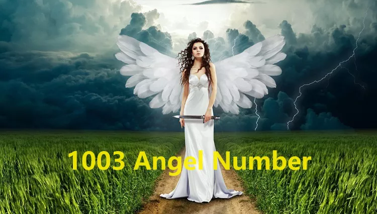 1003 Angel Number