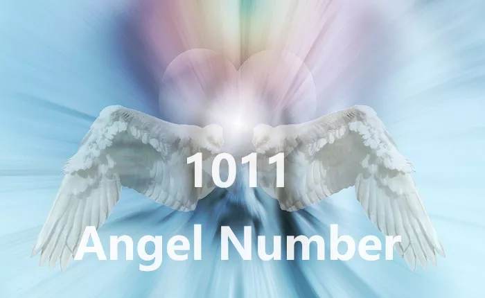 1011 Angel Number