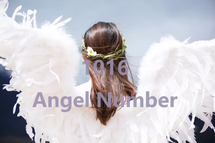 1016 Angel Number