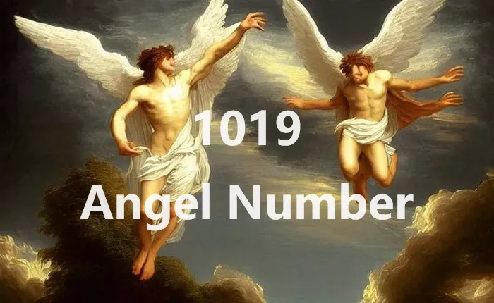 1019 Angel Number