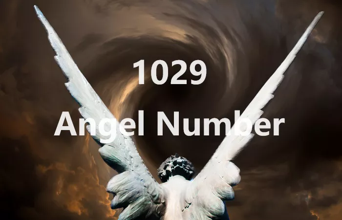 1029 Angel Number