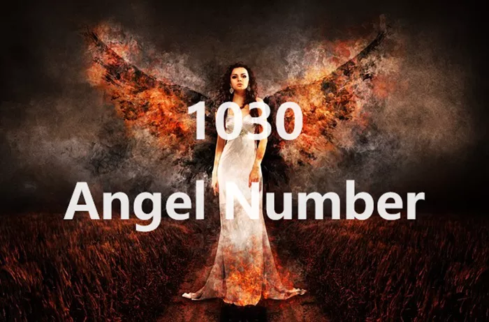 1030 Angel Number