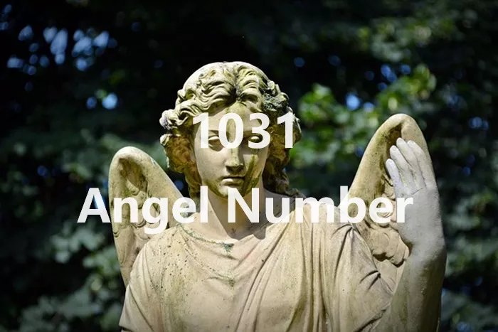 1031 Angel Number