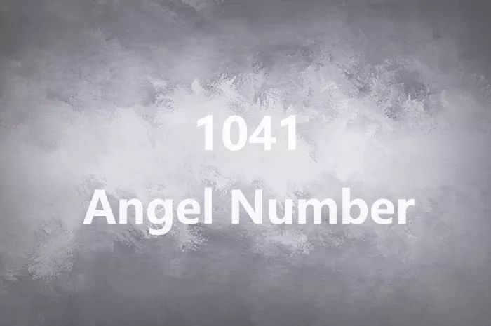 1041 Angel Number