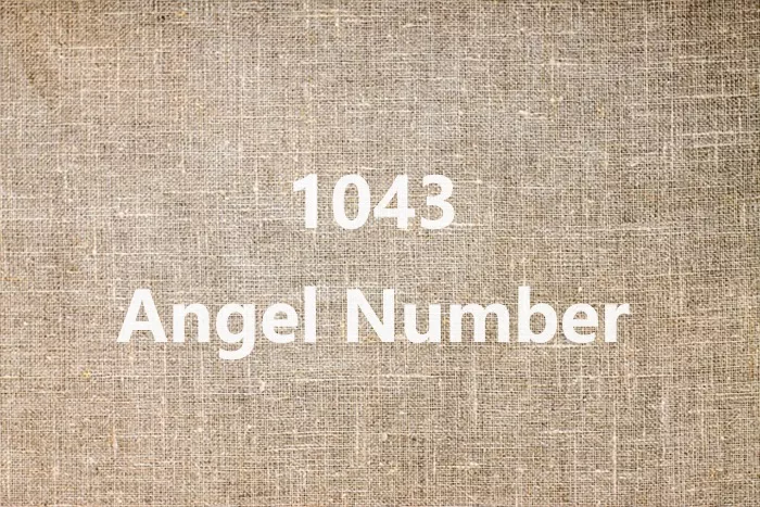 1043 Angel Number