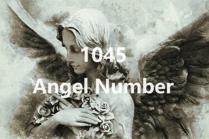 1045 Angel Number