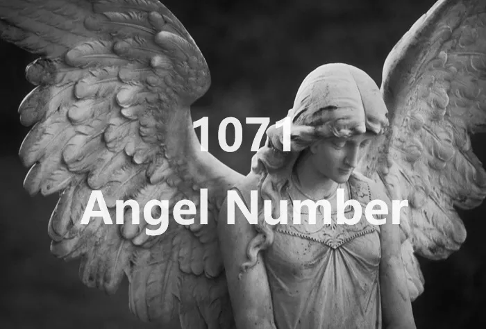 1071 Angel Number