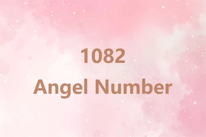 1082 Angel Number