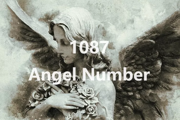 1087 Angel Number