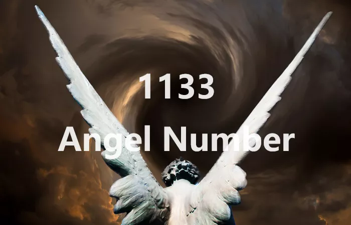 1133 Angel Number