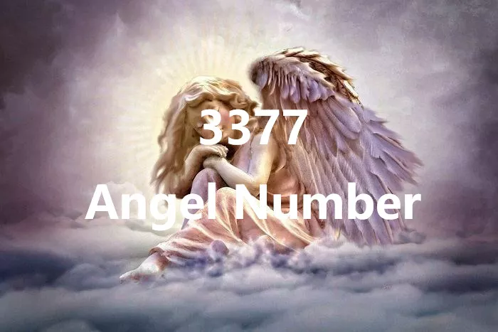 3377 Angel Number