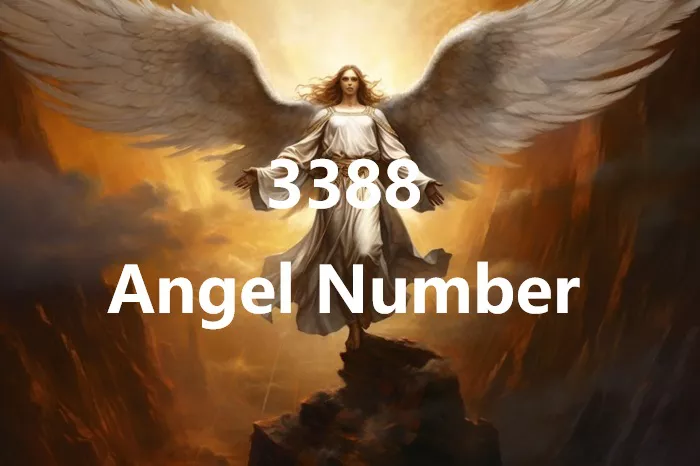 3388 Angel Number