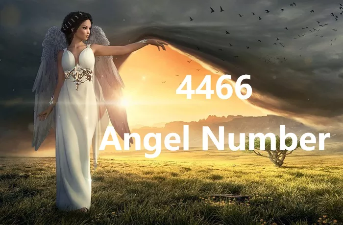 4466 Angel Number