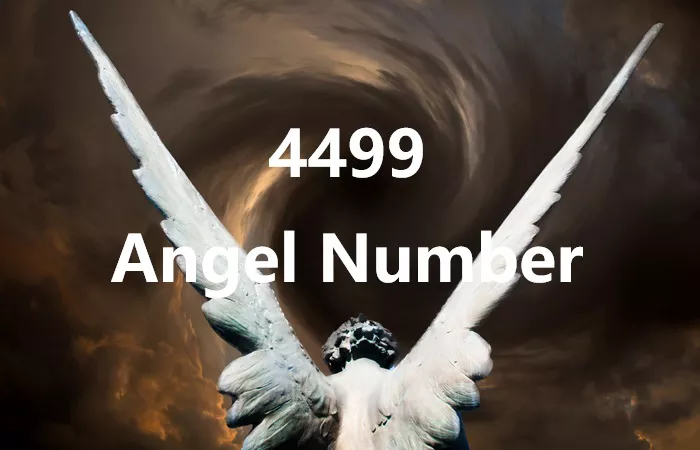 4499 Angel Number