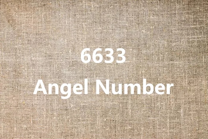 6633 Angel Number