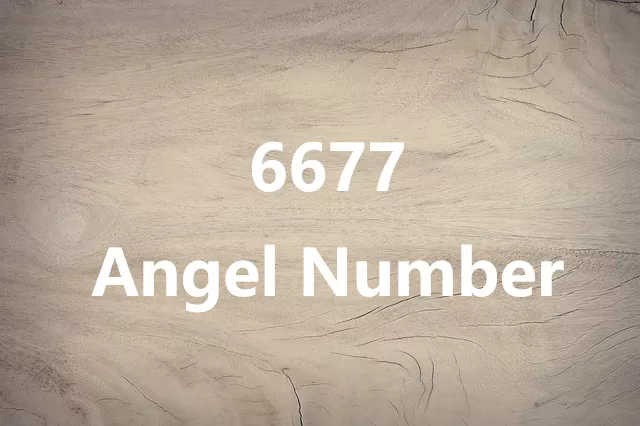 6677 Angel Number