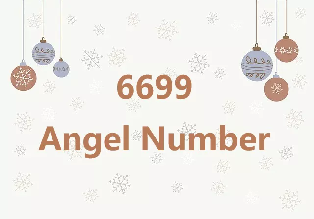 6699 Angel Number