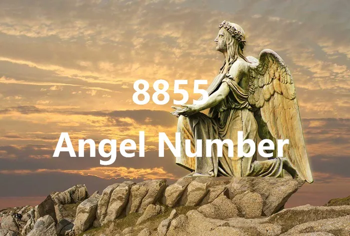 8855 Angel Number