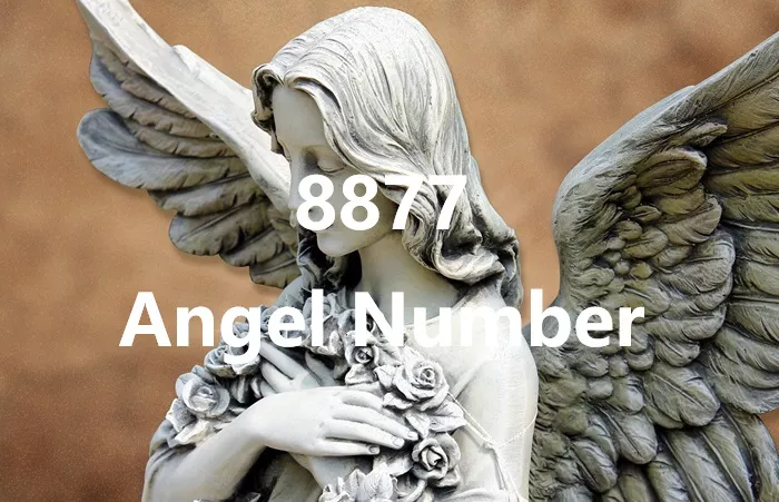 8877 Angel Number